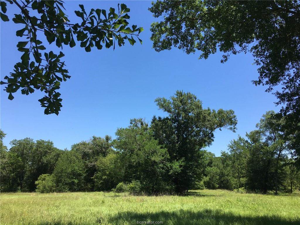 10222 Wessex Bend - Photo 1