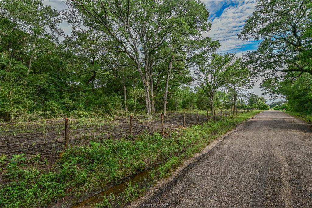 651 County Road 379 (+/-2 Acres) - Photo 1