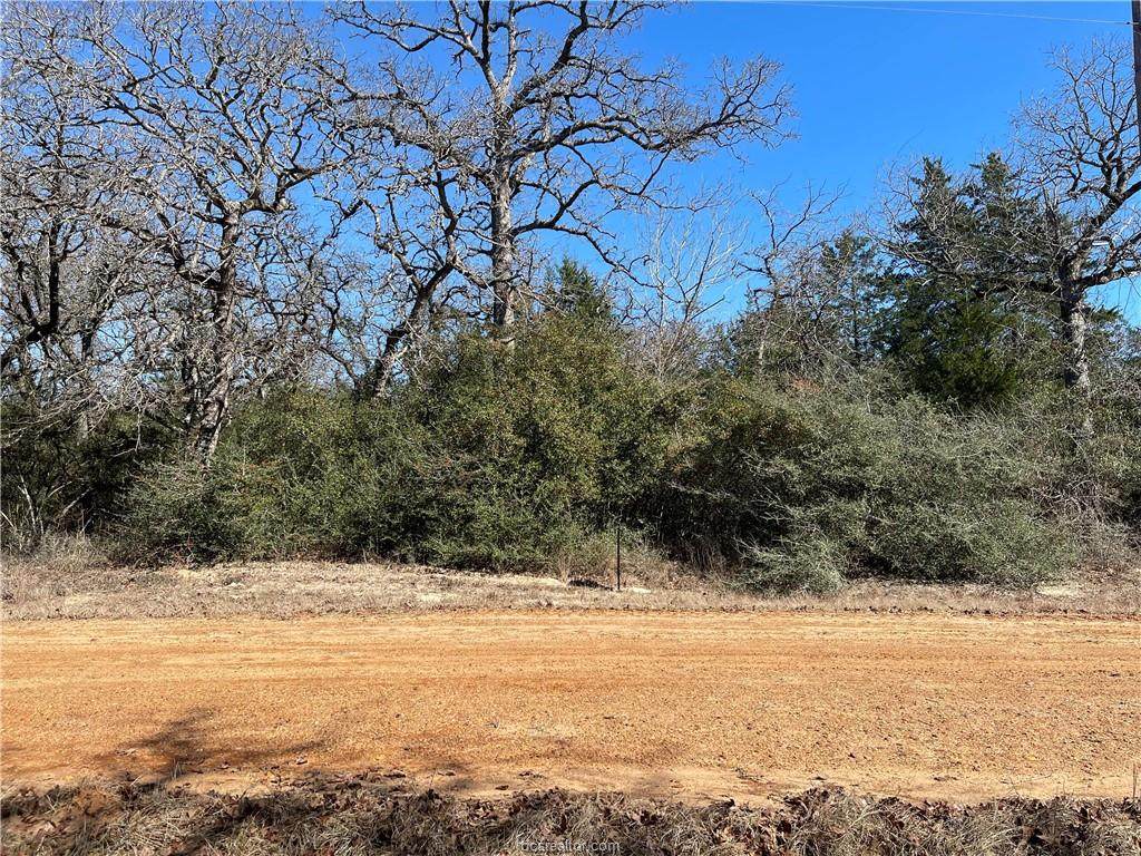 TBD Limestone Drive - Photo 1
