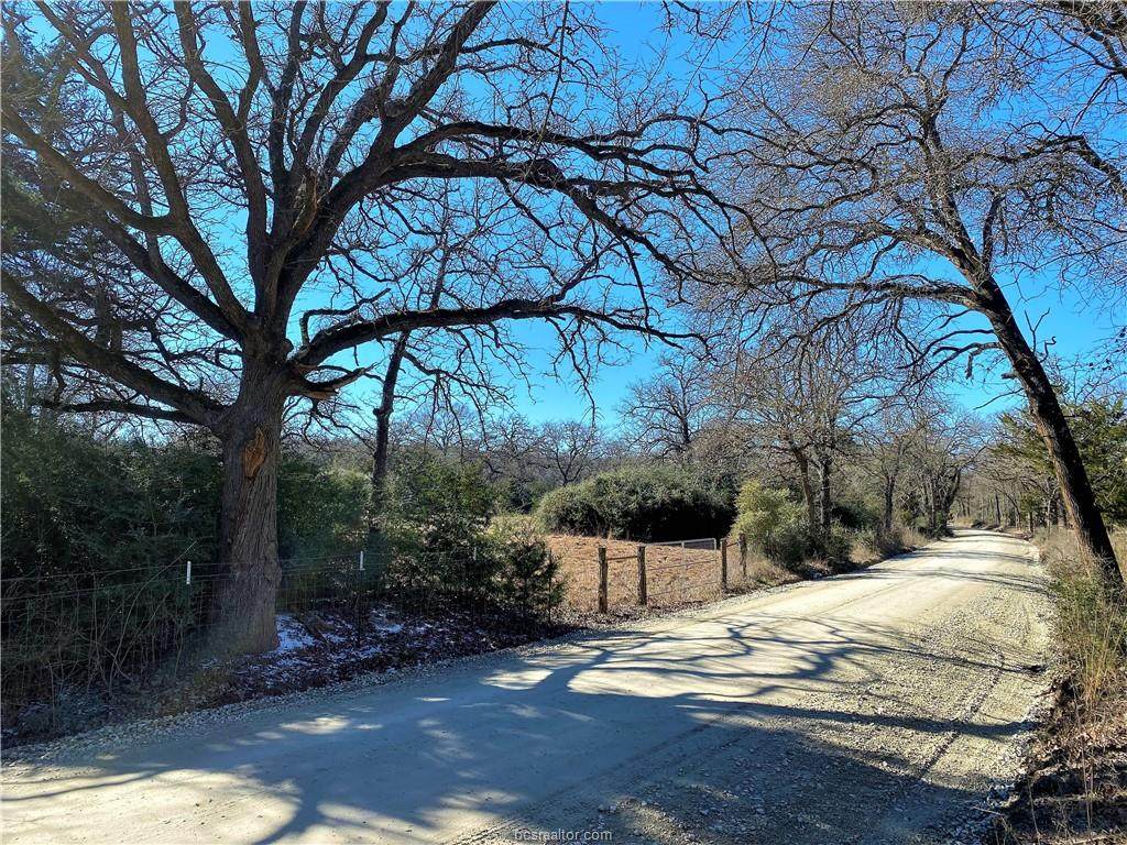 Lot 5 TBD Maris Lane - Photo 1