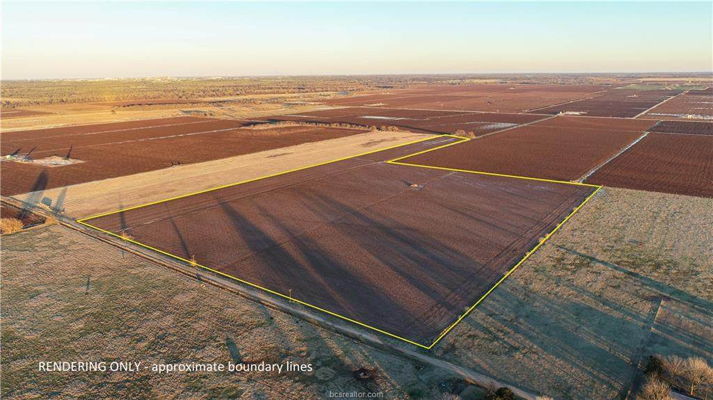 TBD County Road 262 (+/-50 Acres) - Photo 1