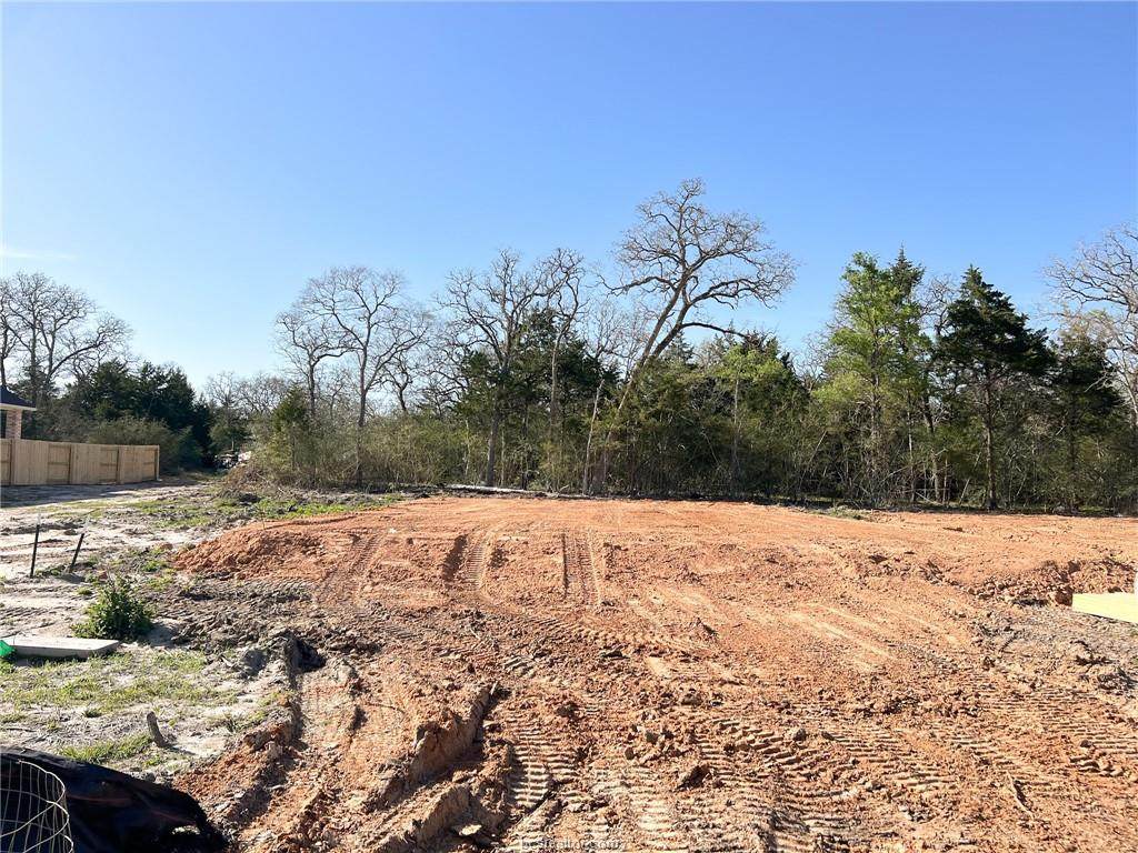 3707 Colorado Canyon Court - Photo 1