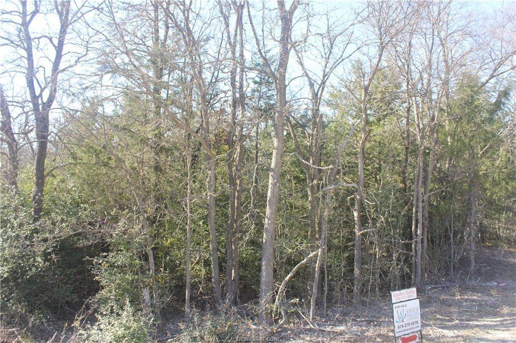 0000 Rose Hill Rd - Photo 1
