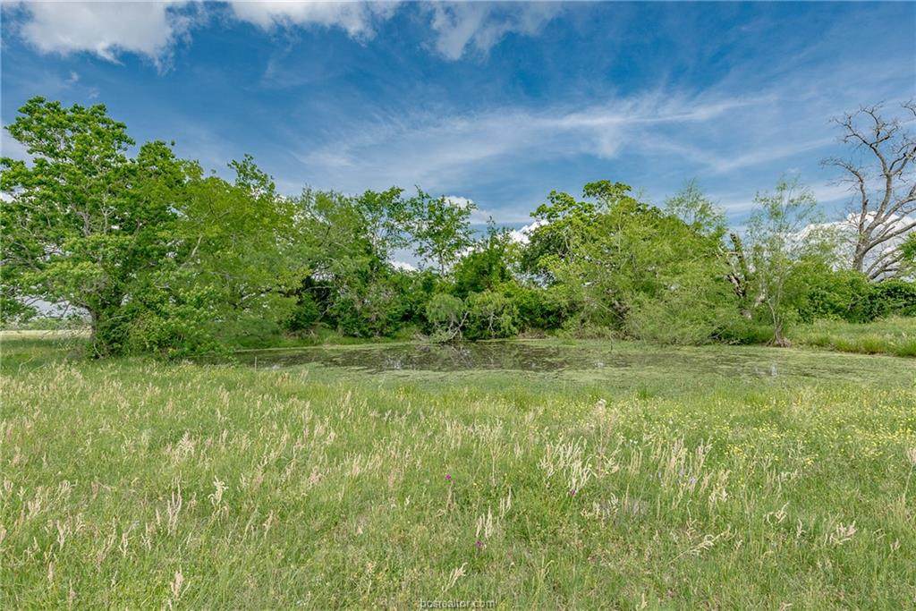 34.13 Old Springfield Road County Road - Photo 1