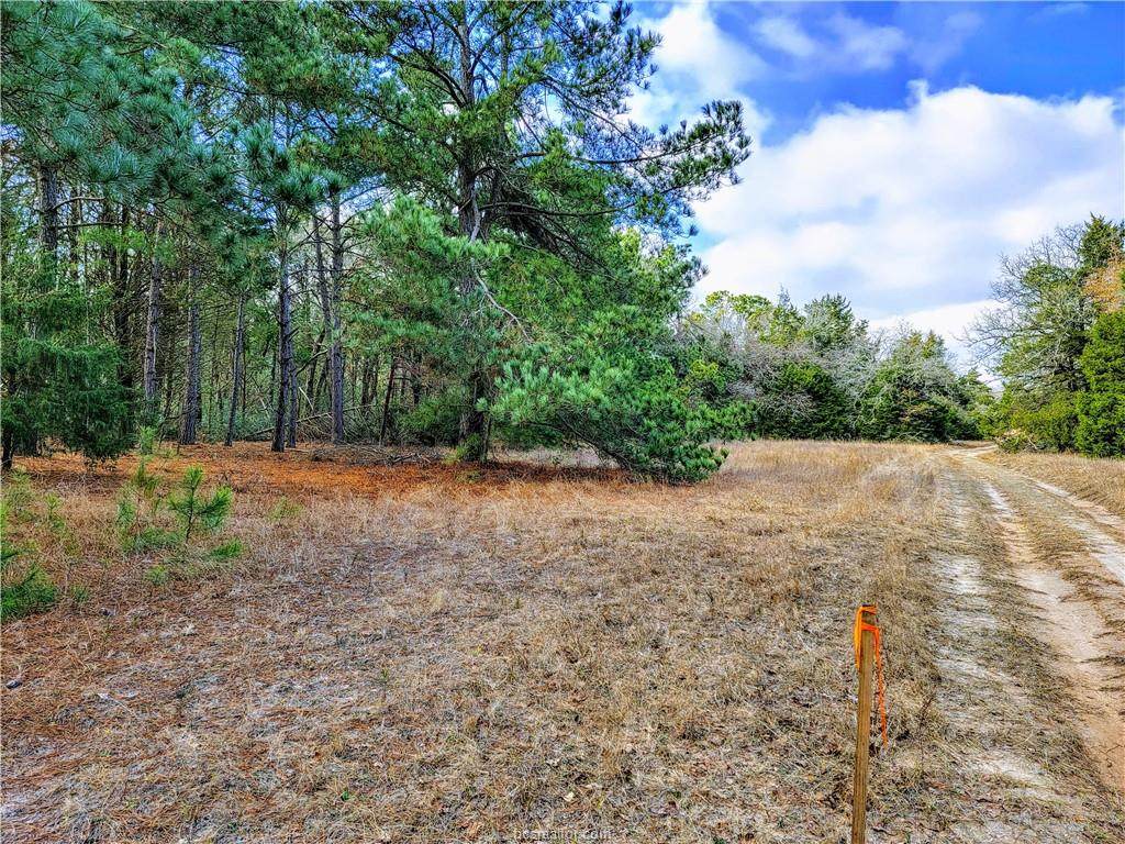 Tract 6 Smith Lane - Photo 1