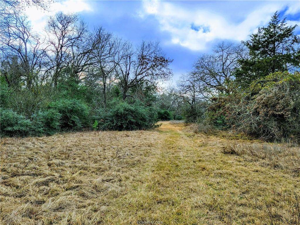 Tract 5 Smith Lane - Photo 1