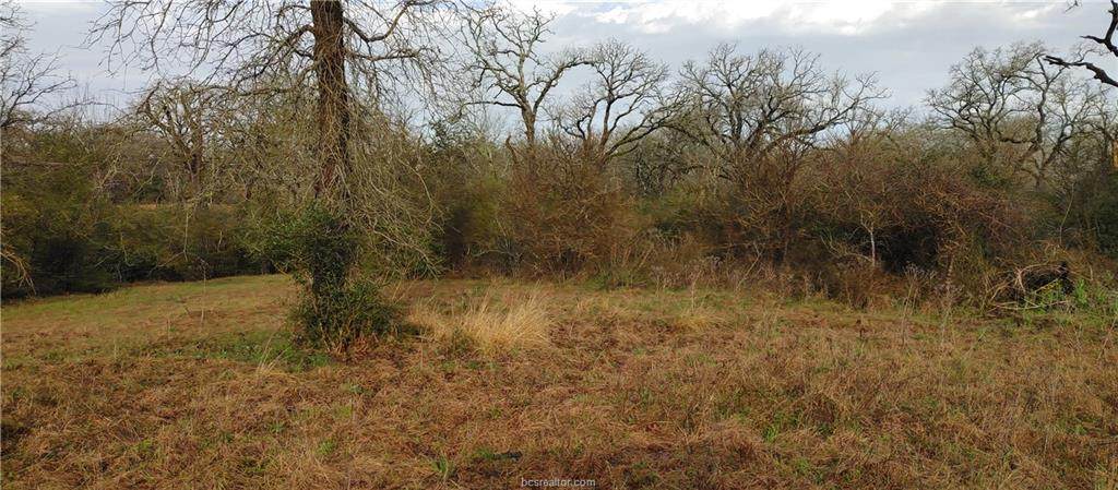 0 County Road 113 - Photo 1