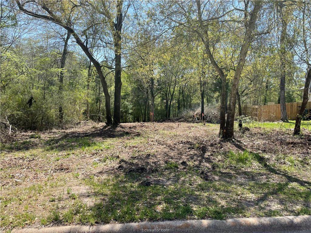 2209 Lobo Drive - Photo 1
