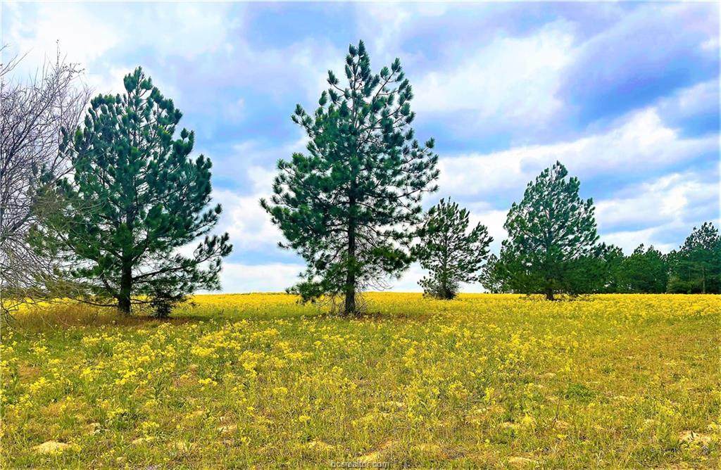 TBD Pfistner Rd. County Road - Photo 1