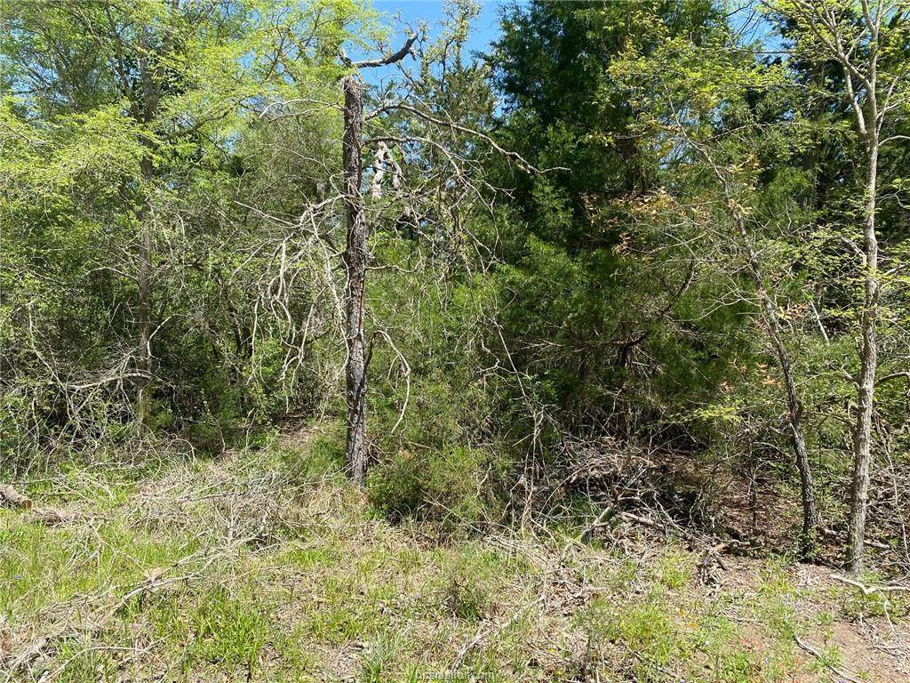 TBD Finch Trail - Photo 1