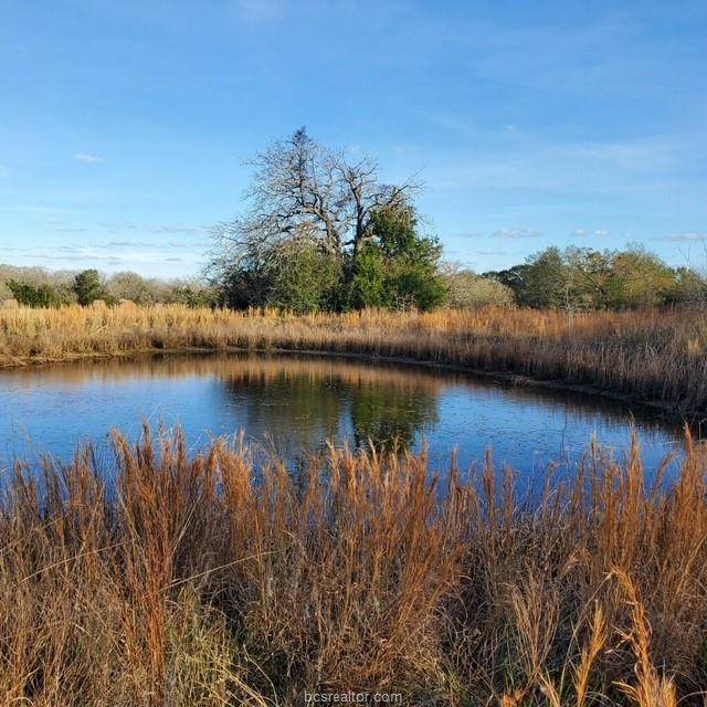 TBD Fm 1372 Rd. - Photo 1