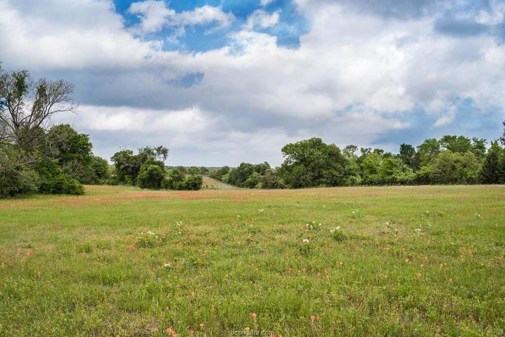 Lot 6 Pickens Rd - Photo 1