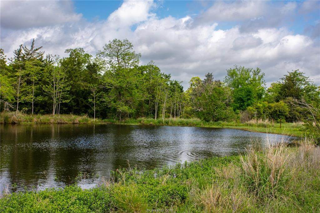 38.72 AC 102 County Road - Photo 1