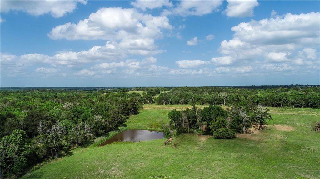 TBD County Road 205 (17.315 Acres) - Photo 1
