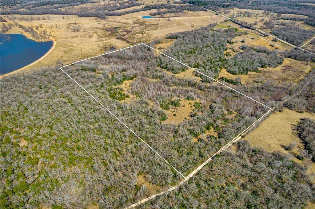 TBD Hwy 79 Highway - Photo 1
