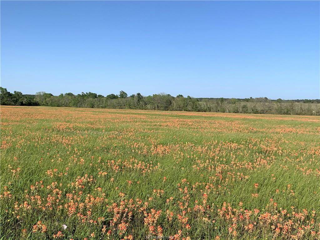 0020.25 County Road 215 - Photo 1