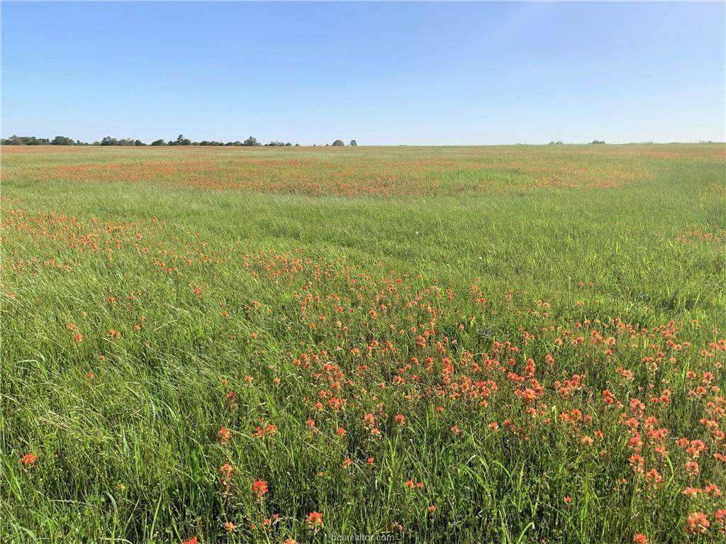0020 County Road 215 - Photo 1