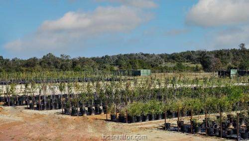 132 Cr 267 - Photo 1