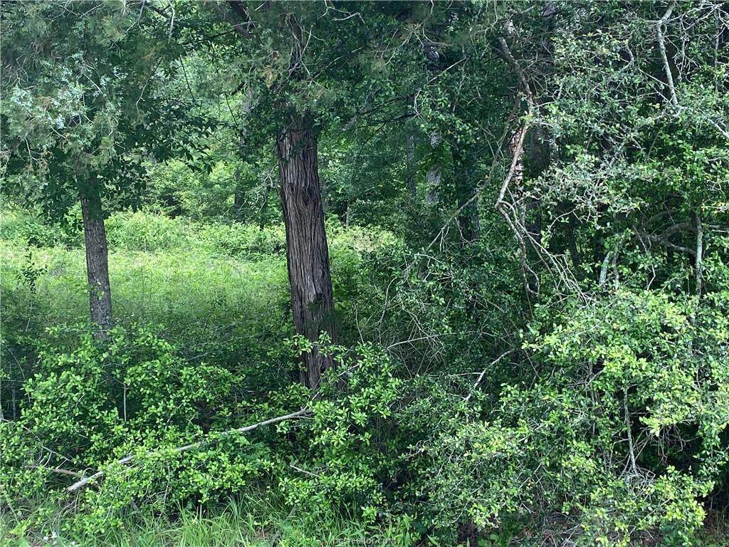 TBD Lakeview Dr. & Post Oak Dr. - Photo 1