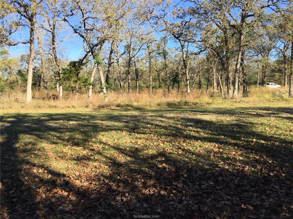 00 Bonanza Lane - Photo 1