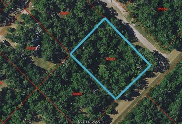 887 Big Berry Road - Photo 1