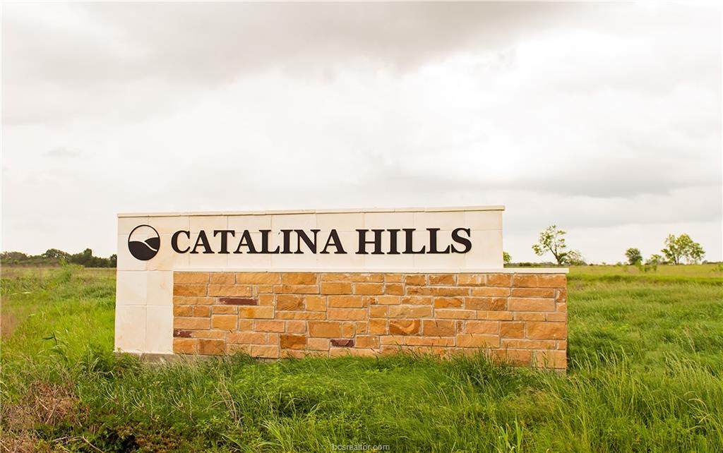 000 Catalina Hill Court - Photo 1