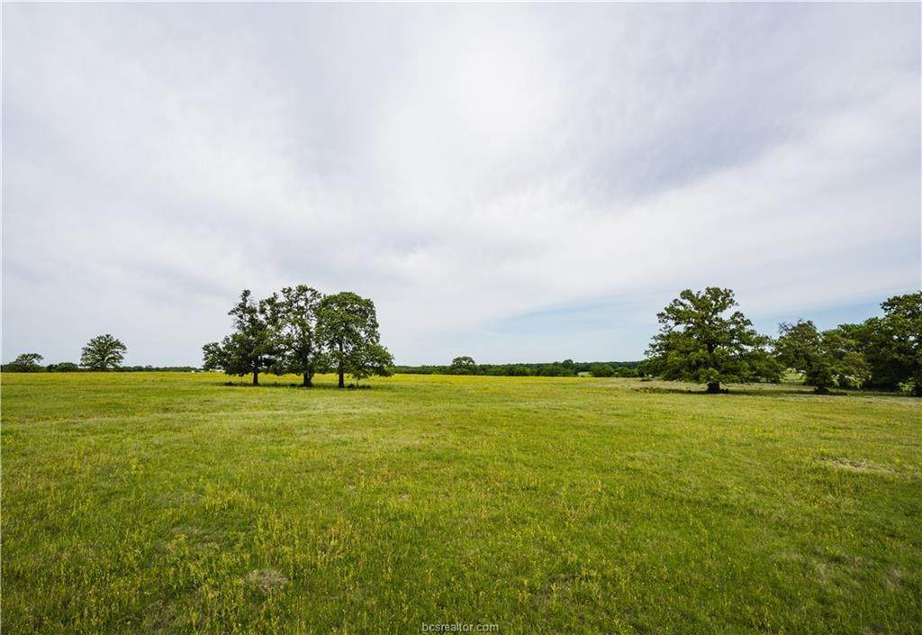15937 Reagan Loop County Road - Photo 1