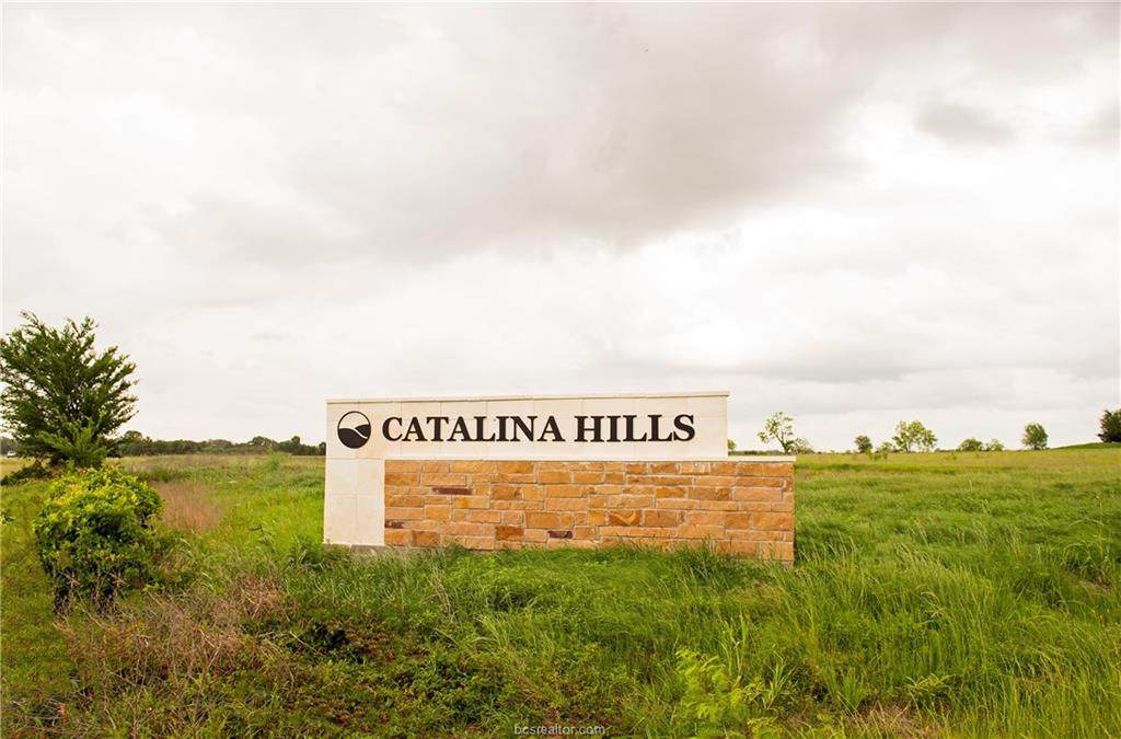 000 Catalina Hill Court - Photo 1