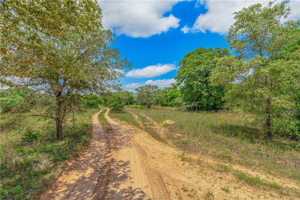 6944 County Road 308A - Photo 1