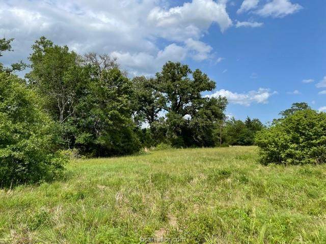 1130 Morgan Lane - Photo 1