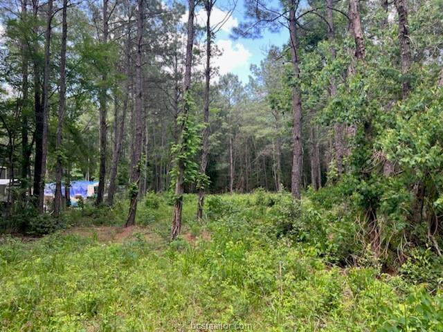 8421 Magnolia Springs - Photo 1