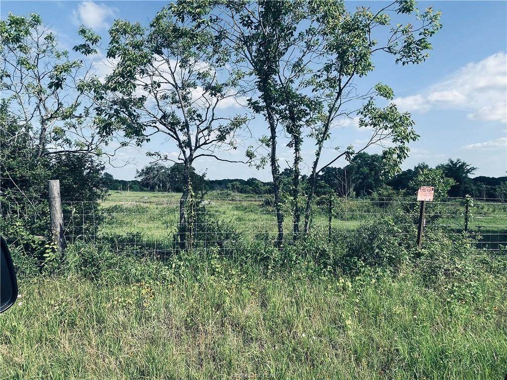 22629 Fm 159 Prt Of Road - Photo 1