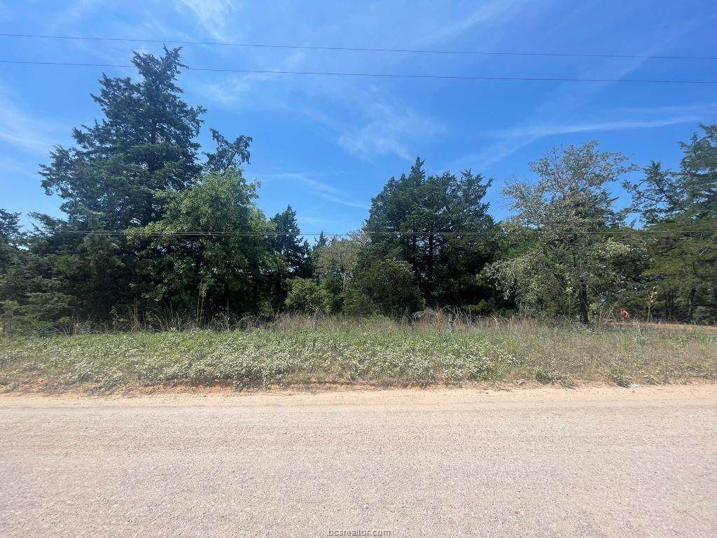 TBD Pecan Drive - Photo 1