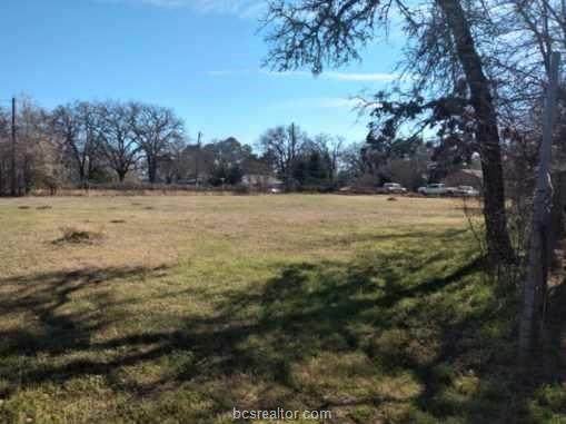 1703 Piney Woods Lane - Photo 1