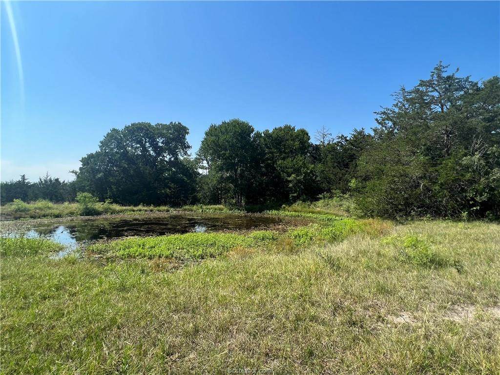 TBD County Road 127 - Photo 1
