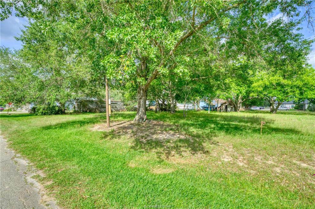 Lot 12 Pecan St - Photo 1