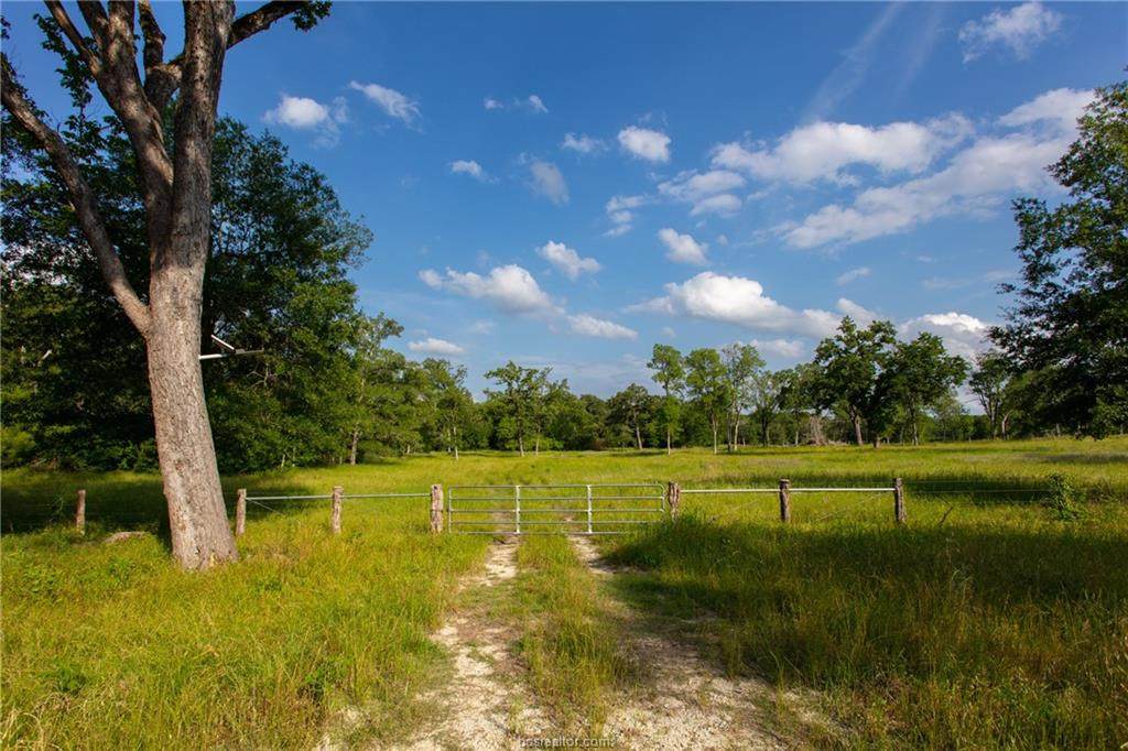 TBD Highway 90 - Photo 1