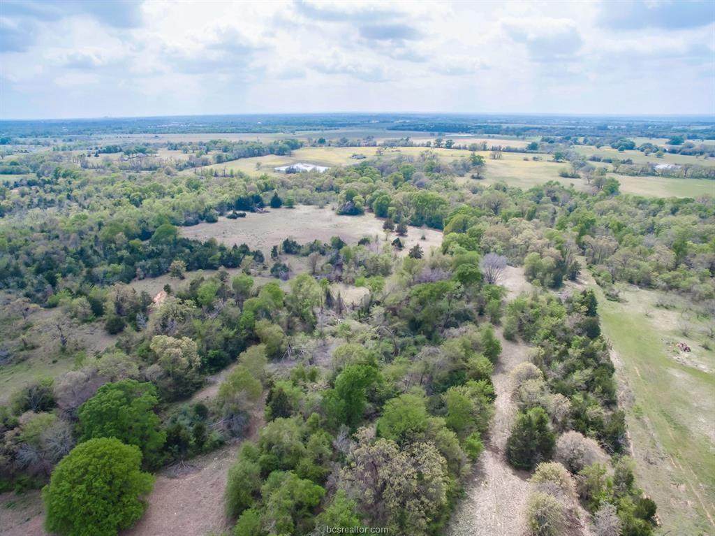 221 Cr 274 - Lot 4 - Photo 1
