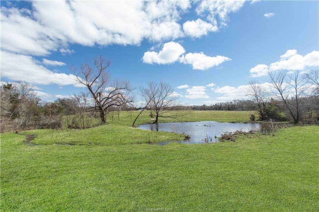 221 Cr 274 - Lot 3 - Photo 1