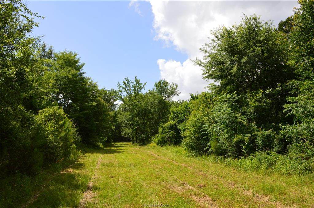 8770 County Road 233 - Photo 1