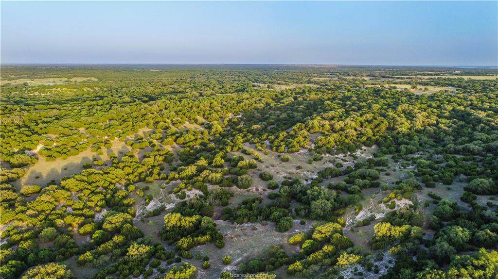 TBD County Road 1120 (+/- 300 Acres) - Photo 1