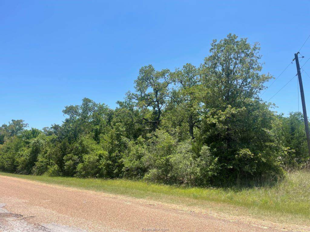 Lots 372-373 Spreading Oak Street - Photo 1