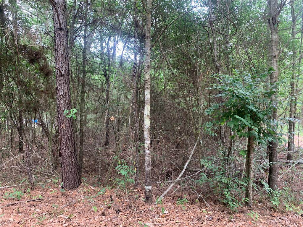 001 Pin Oak Drive - Photo 1