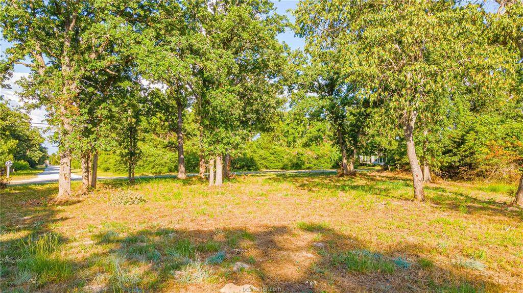 TBD Meadowood - Photo 1