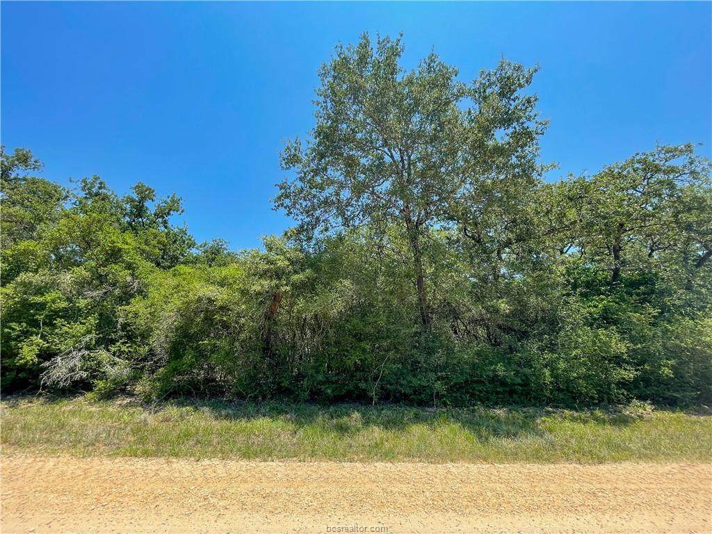 23 Holly Lane - Photo 1