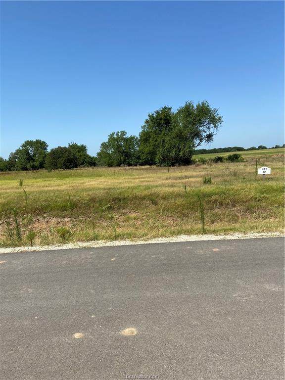 3289 Hunters Crossing Trail Trail - Photo 1