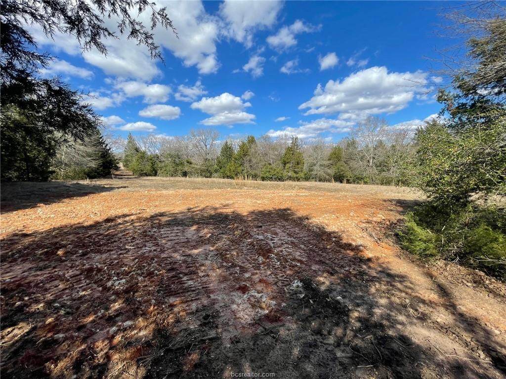 2861 Camp Creek Cemetery Road - Photo 1