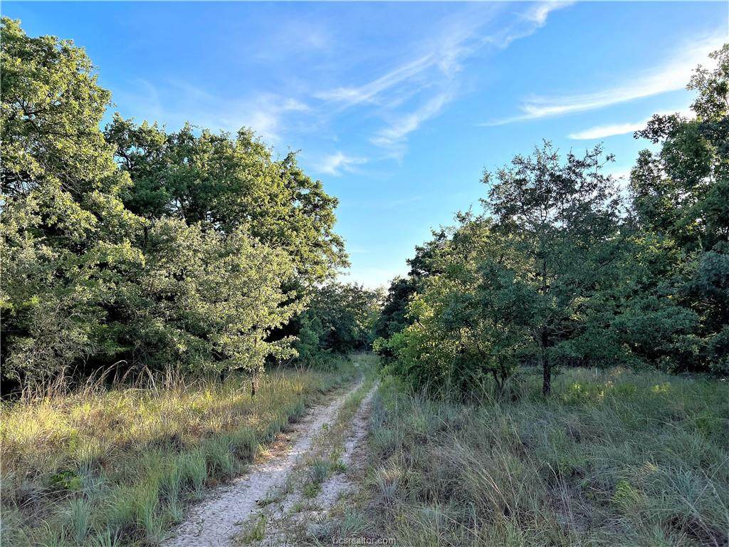 TBD Pin Oak Road - Photo 1