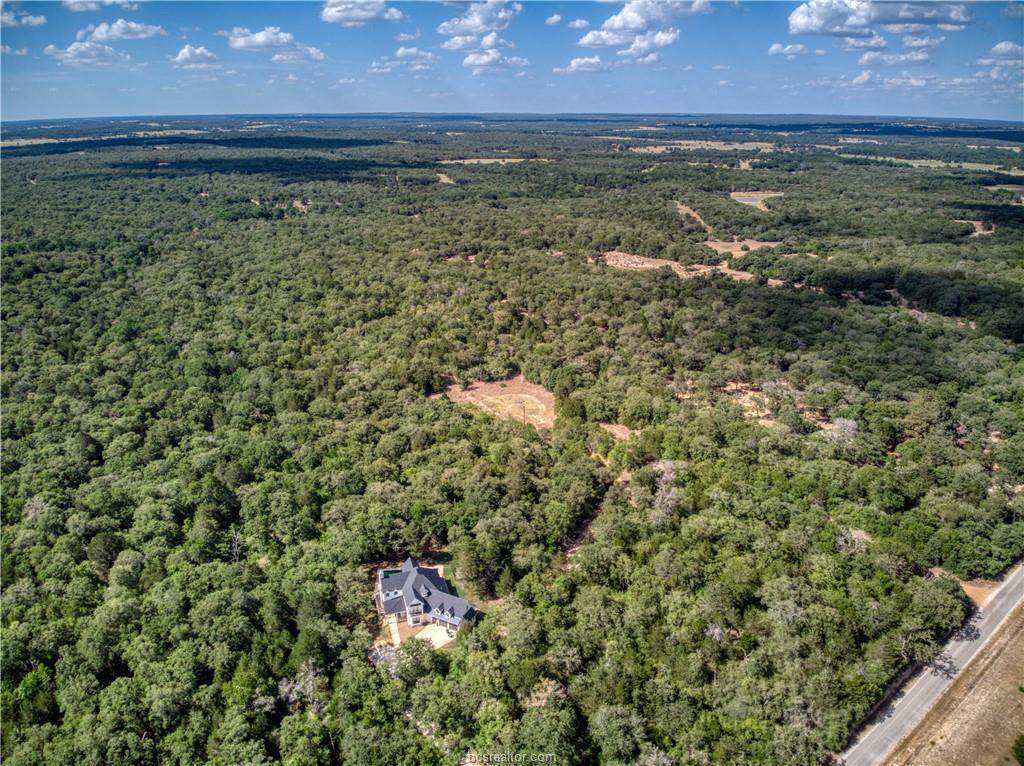 TBD County Road 411 Road - Photo 1