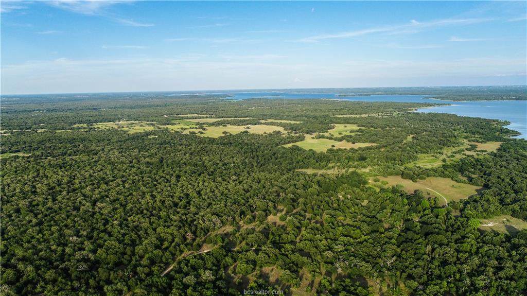 11414 County Road 162 (+/- 105 Acres) - Photo 1